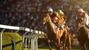 Best Betting Sites