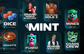 Mint.io: Pros and Cons