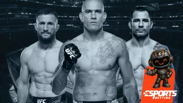 Stake UFC betting