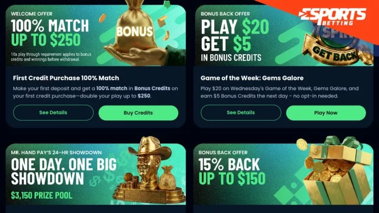 Horseplay offers