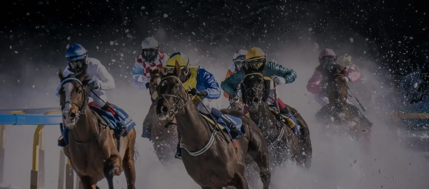 Horseplay review