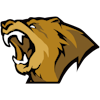 Lynn Vision Gaming