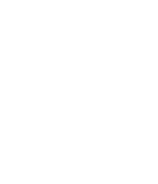 Team Envy