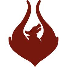 Team Phoenix