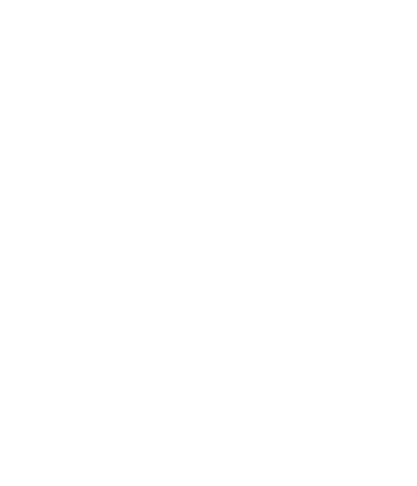 Team Spirit