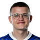 levyfinn