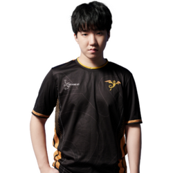 shin