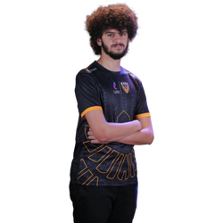 skanoodles