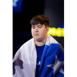 reysbull