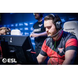 friberg