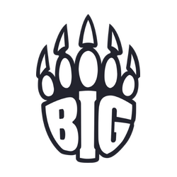BIG Academy