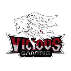 Vicious Gaming