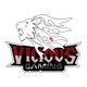 Vicious Gaming