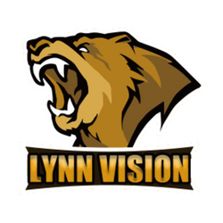 Lynn Vision