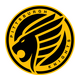 Pittsburgh Knights