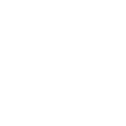 Team SoloMid