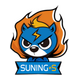 Suning-S