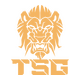 Triumphant Song Gaming
