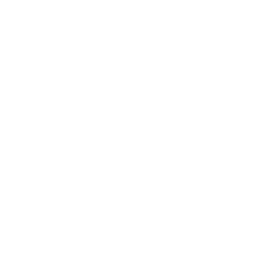 Revenant XSpark