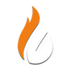 Copenhagen Flames