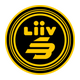 Liiv SANDBOX