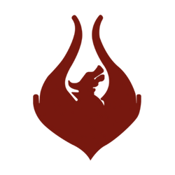 Team Phoenix