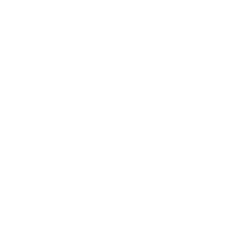 Team Synapse