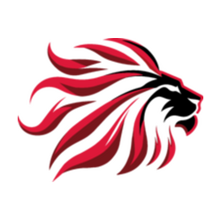 TEAM ASCEND