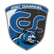 ESC Gaming