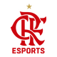 Flamengo eSports