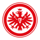 SGE Vision
