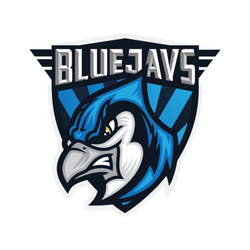 BLUEJAYS.de