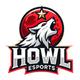 HOWL Esports