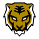 Seoul Dynasty