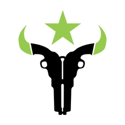 Houston Outlaws