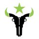 Houston Outlaws
