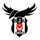 Beşiktaş Esports