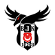 Beşiktaş Esports
