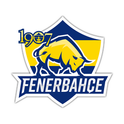 1907 Fenerbahçe Esports