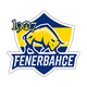 1907 Fenerbahçe Esports