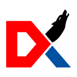 DXSoul Esports