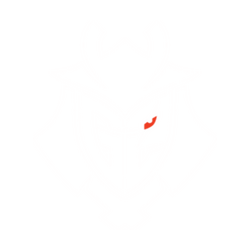 G2 Esports