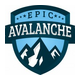 Epic Avalanche