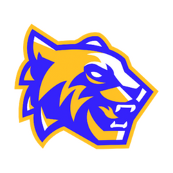 SDM Tigres