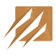 Extinction