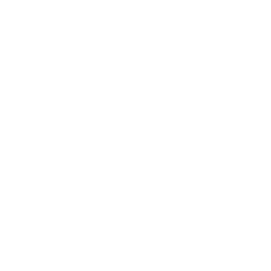 101 Outlaws