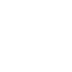 MIR