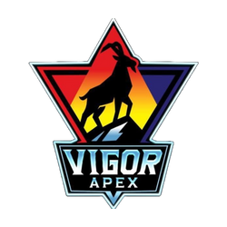  Vigor Apex