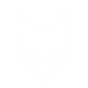 Team Lynx