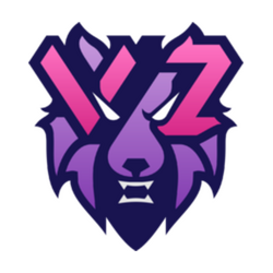 Vizora Esports